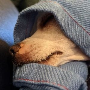 Meet your Posher, Leeanne